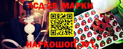 Альфа ПВП Донецк