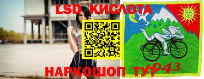 прущие крисы Дубна