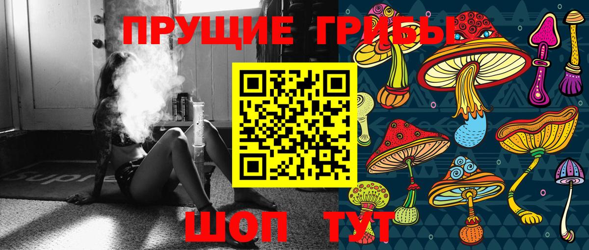 Псилоцибиновые грибы Psilocybe Лесной